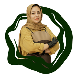 لوگو ونتا